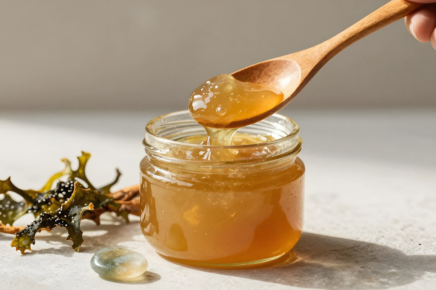 Sea Moss for Gut Health: Why Your Microbiome Loves Irish Moss